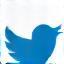 Twitter link icon
